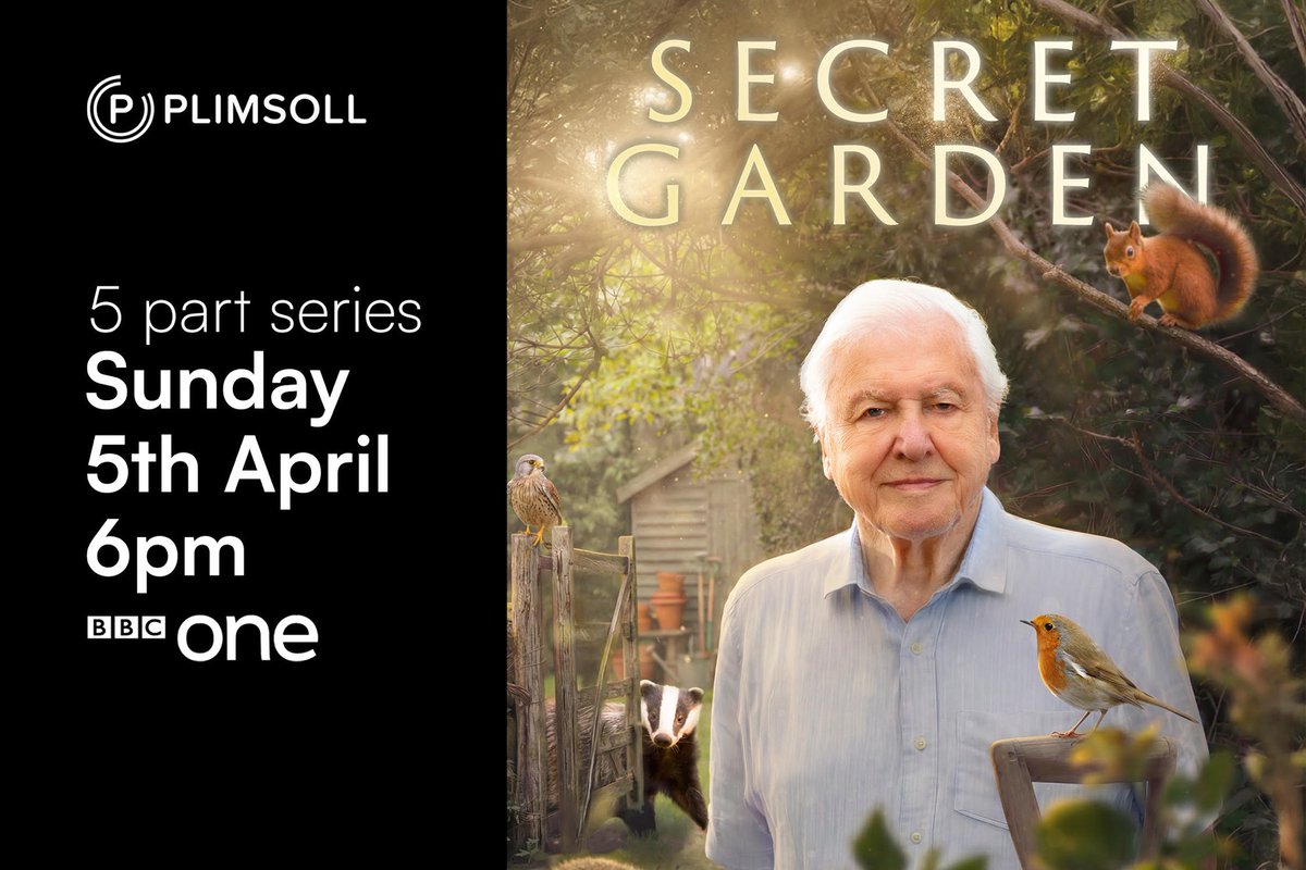 Terry Abraham tweet media