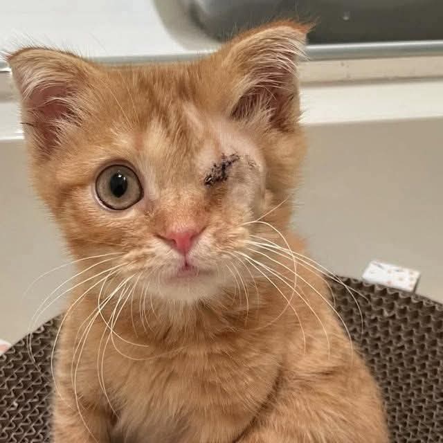 Sonia ❤️ tweet media