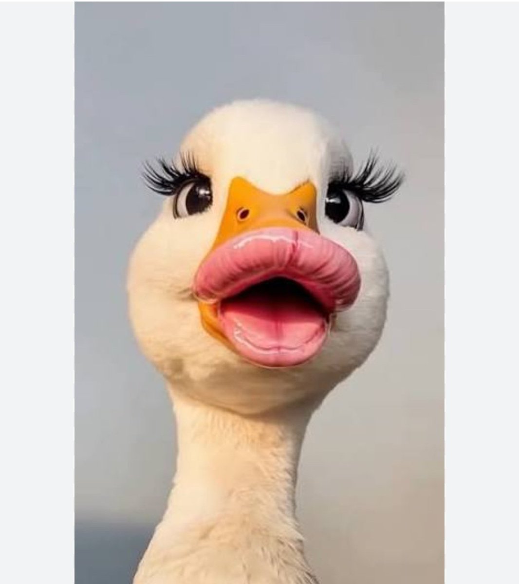 webde_ben 19 tweet media