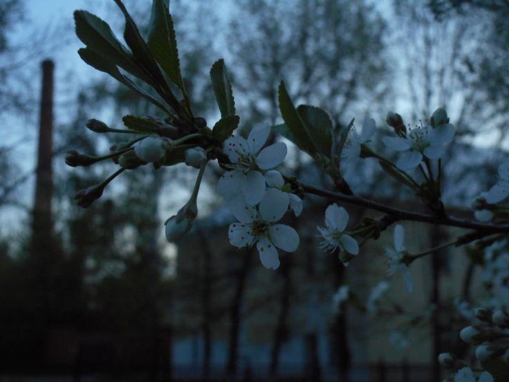 𝕰𝖑𝖊𝖒𝖒𝖎𝖗𝖊 tweet media