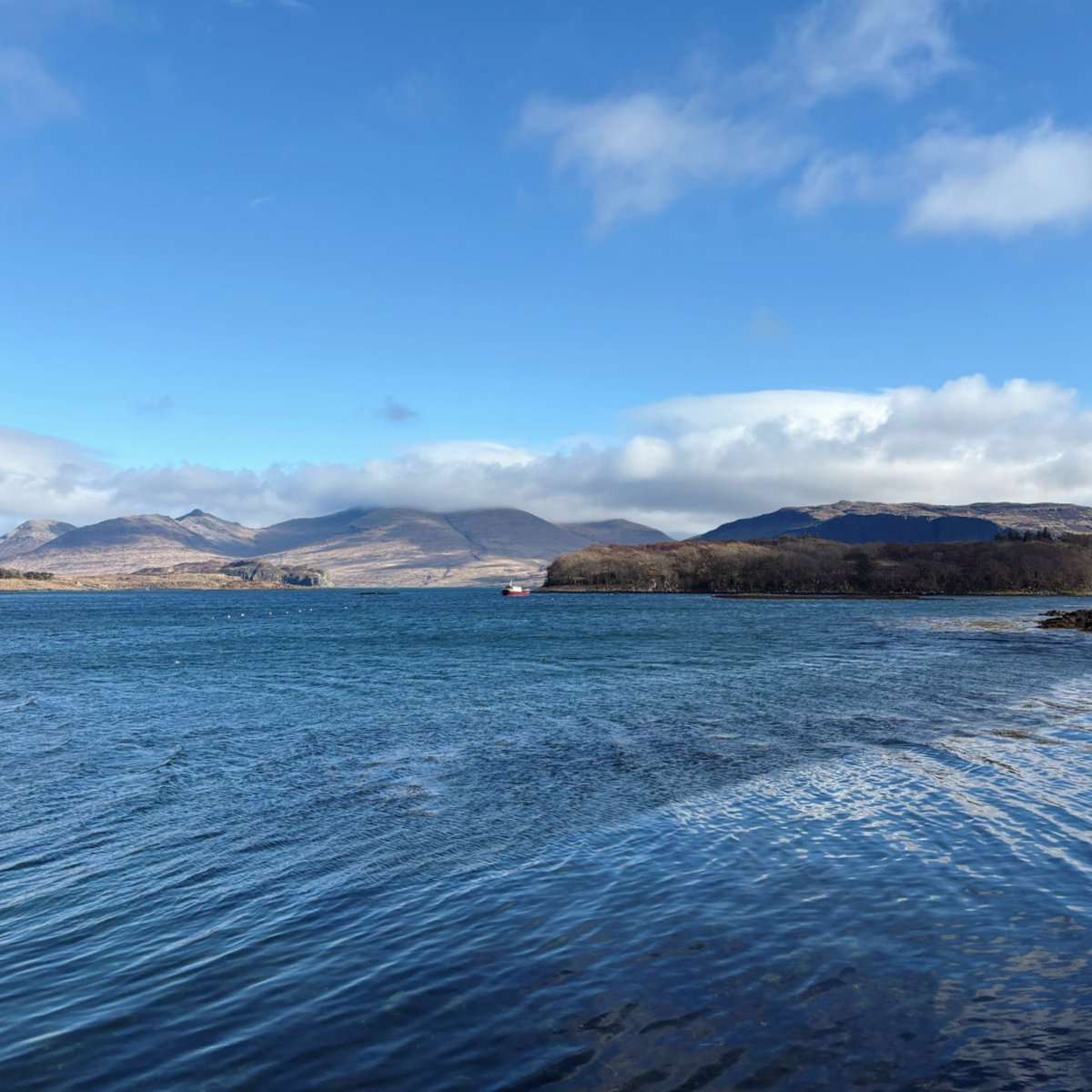 минький tweet media