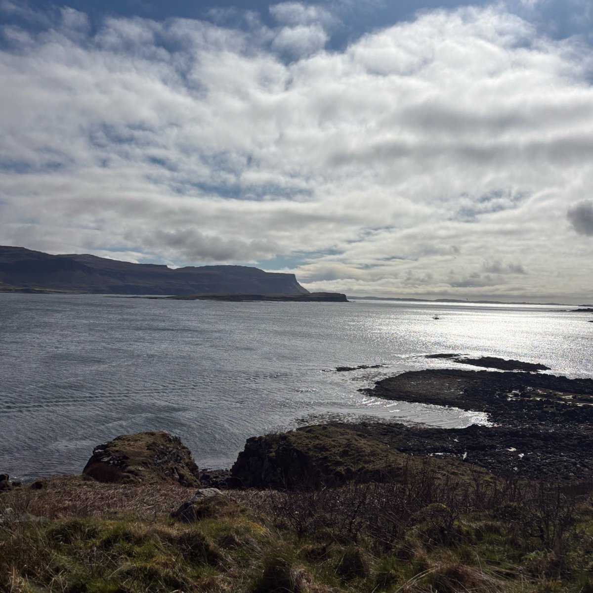 минький tweet media