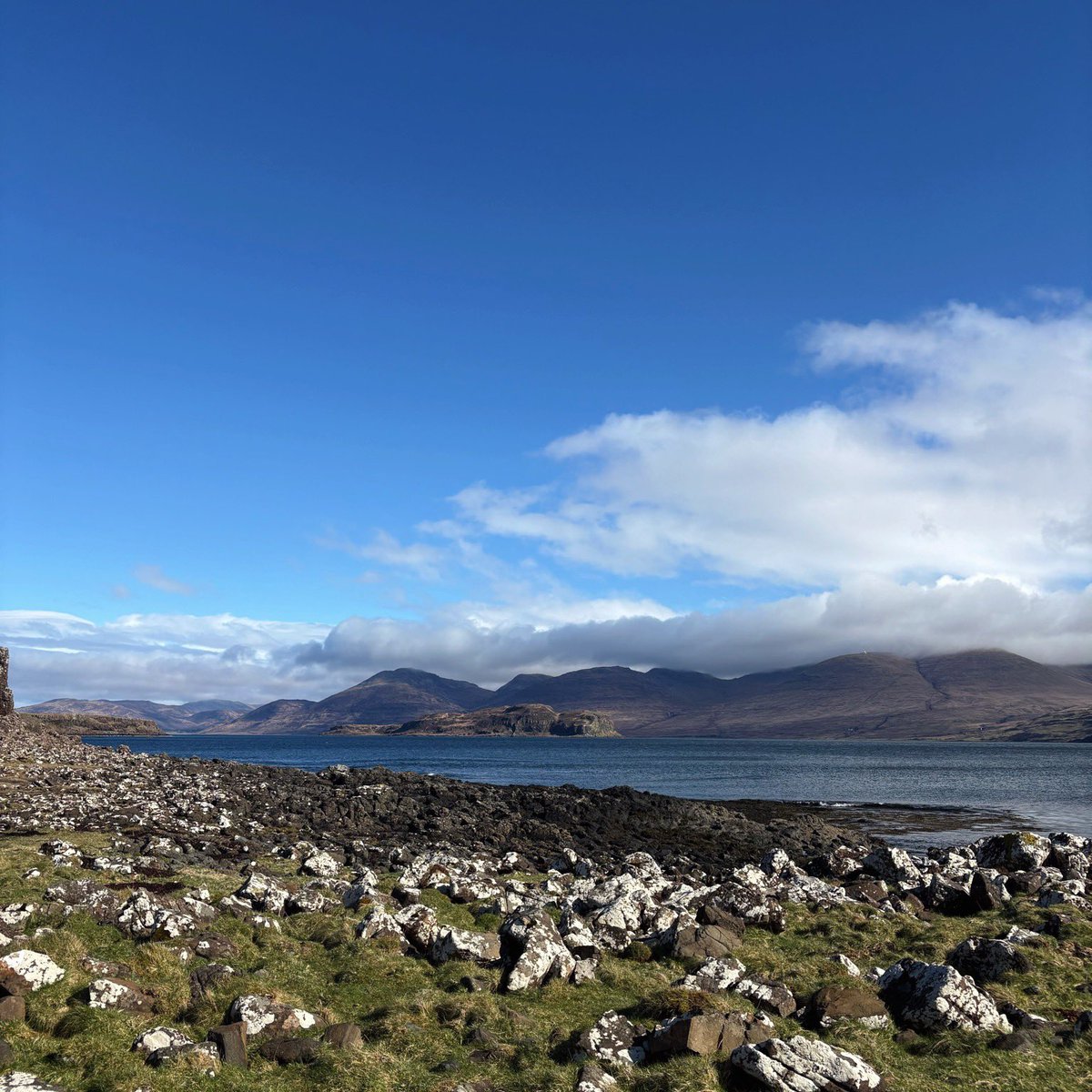 минький tweet media