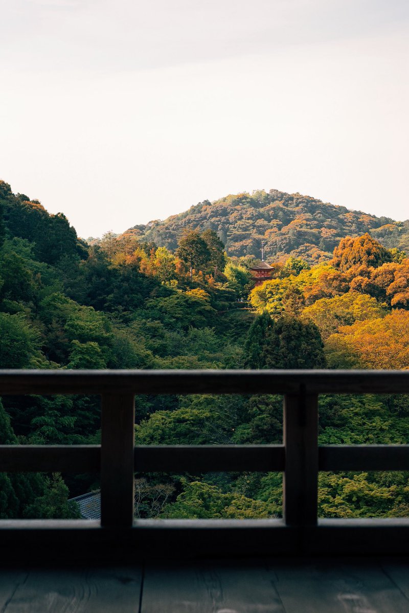 SoraHikari tweet media