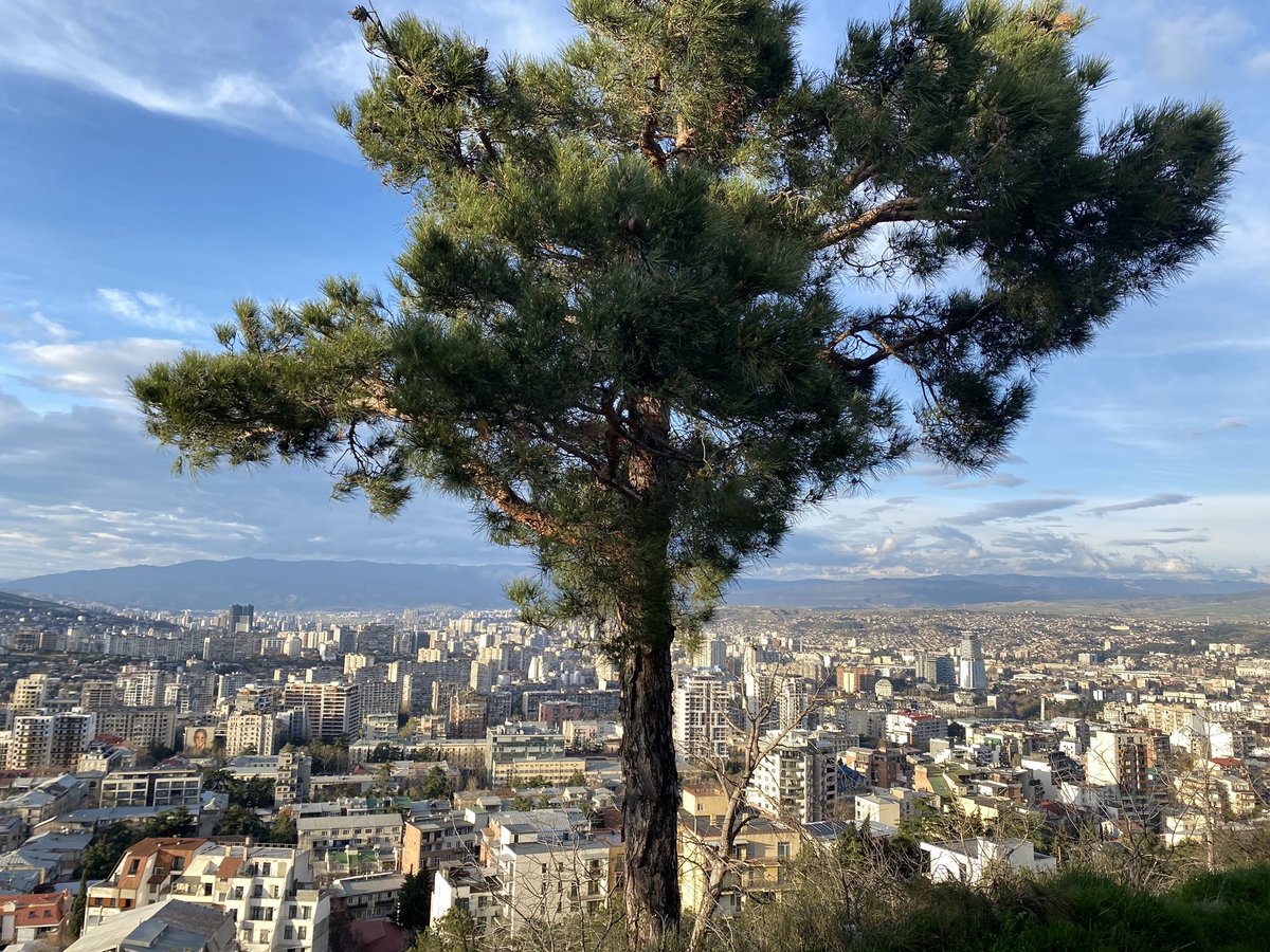 клем tweet media