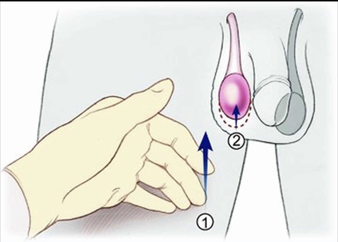 احمد tweet media