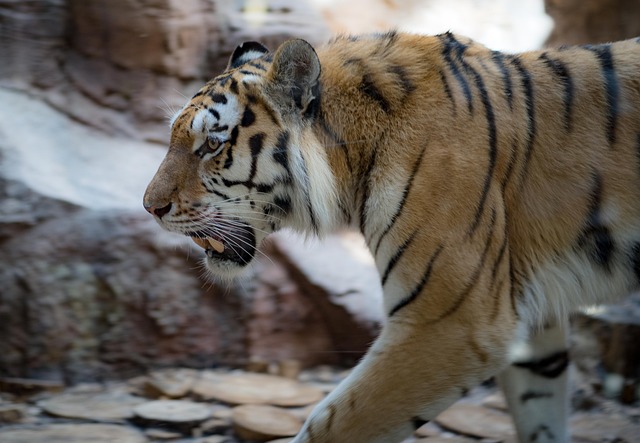 Lindsay Smith tweet media