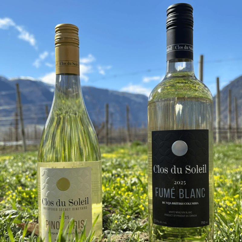 ClosduSoleil's tweet image. Not an April Fool's joke! #ClosduSoleil Fumé Blanc &amp;amp; Pinot Gris are back, available online, just in time for #BCWineMonth. After a 2-year absence, these wines return with 100% BC-grown grapes – &amp;amp; mark our 20th Anniversary Harvest. closdusoleil.ca/store-shop/ #BCWine #SimilkameenWine