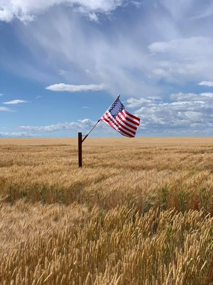 American Conservation Coalition tweet media