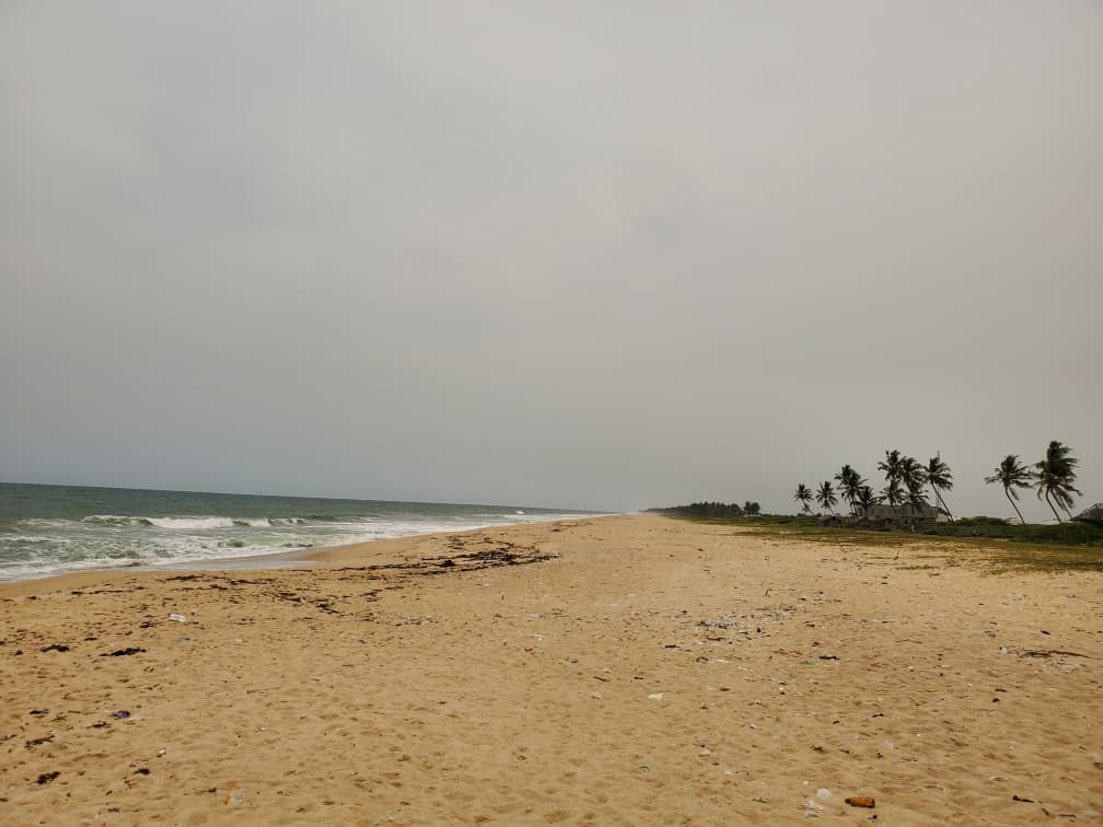 TheBrandRegal tweet media