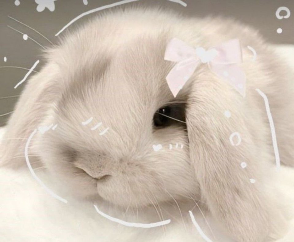 𝑳𝙞𝒍𝙡𝒚 ♱ tweet media