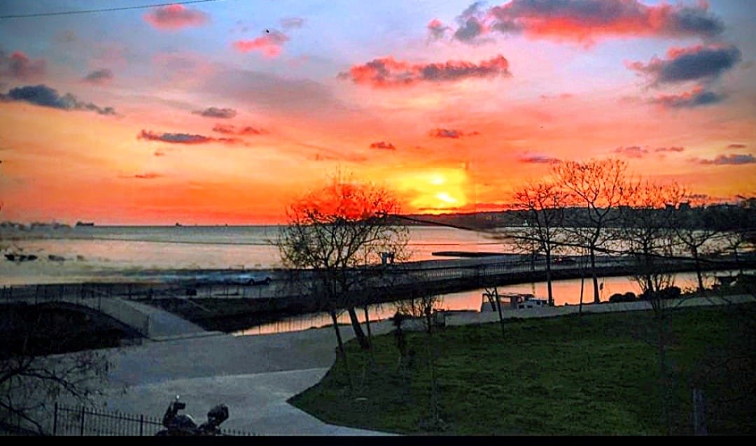 MAVİ YENGEÇ tweet media