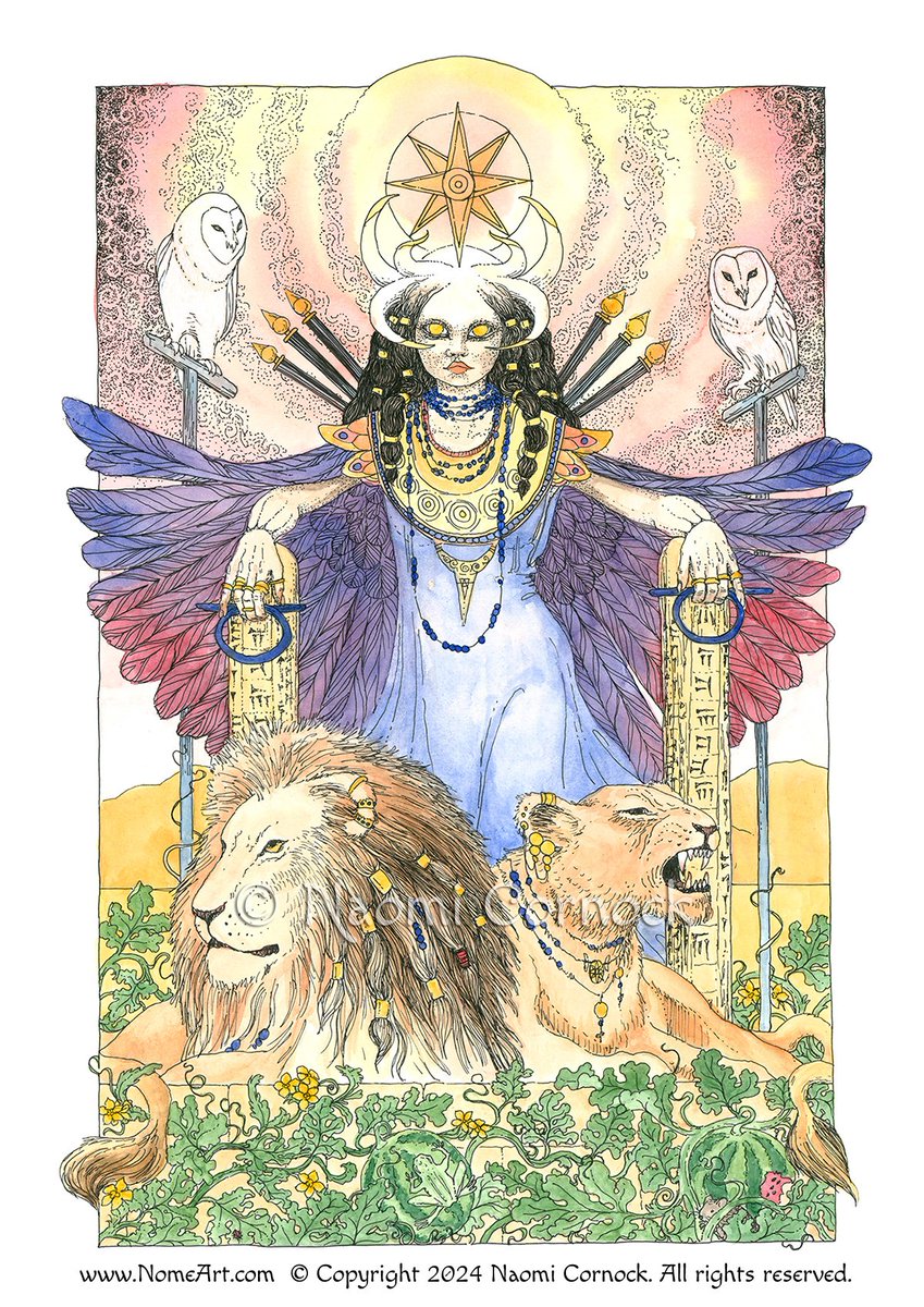 Orpheus - John Fournier tweet media