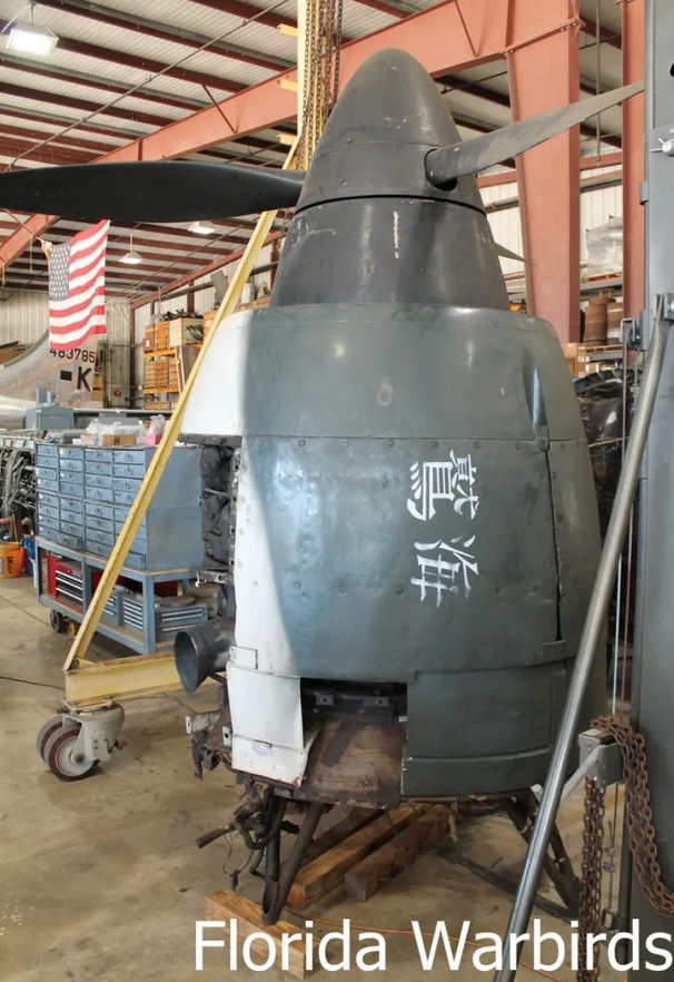 puyokuma🌏 tweet media