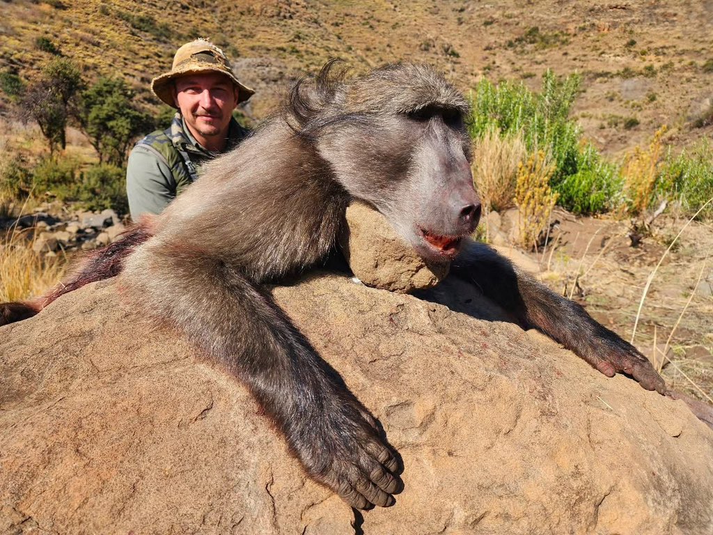 The Instigator tweet media