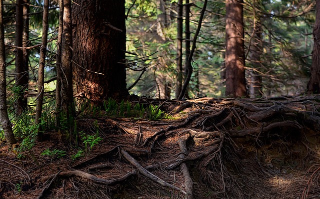 John Whitaker tweet media