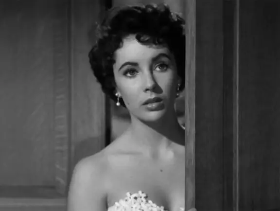 Taylor Swift Brasil tweet media