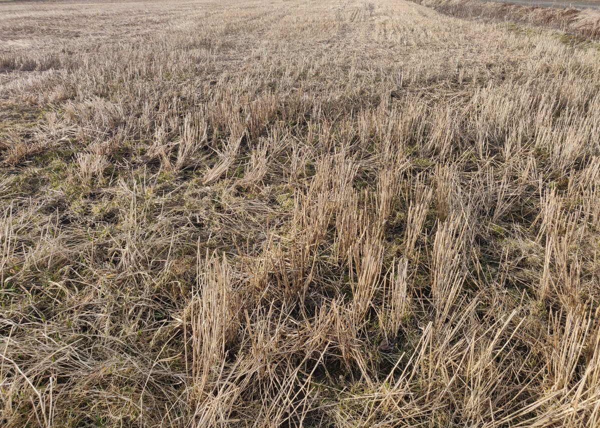 Helkky Hakamaa tweet media