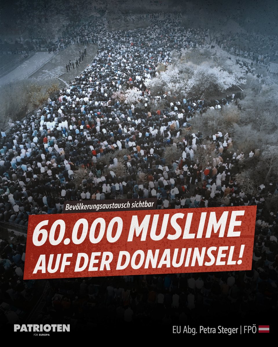 Petra Steger tweet media