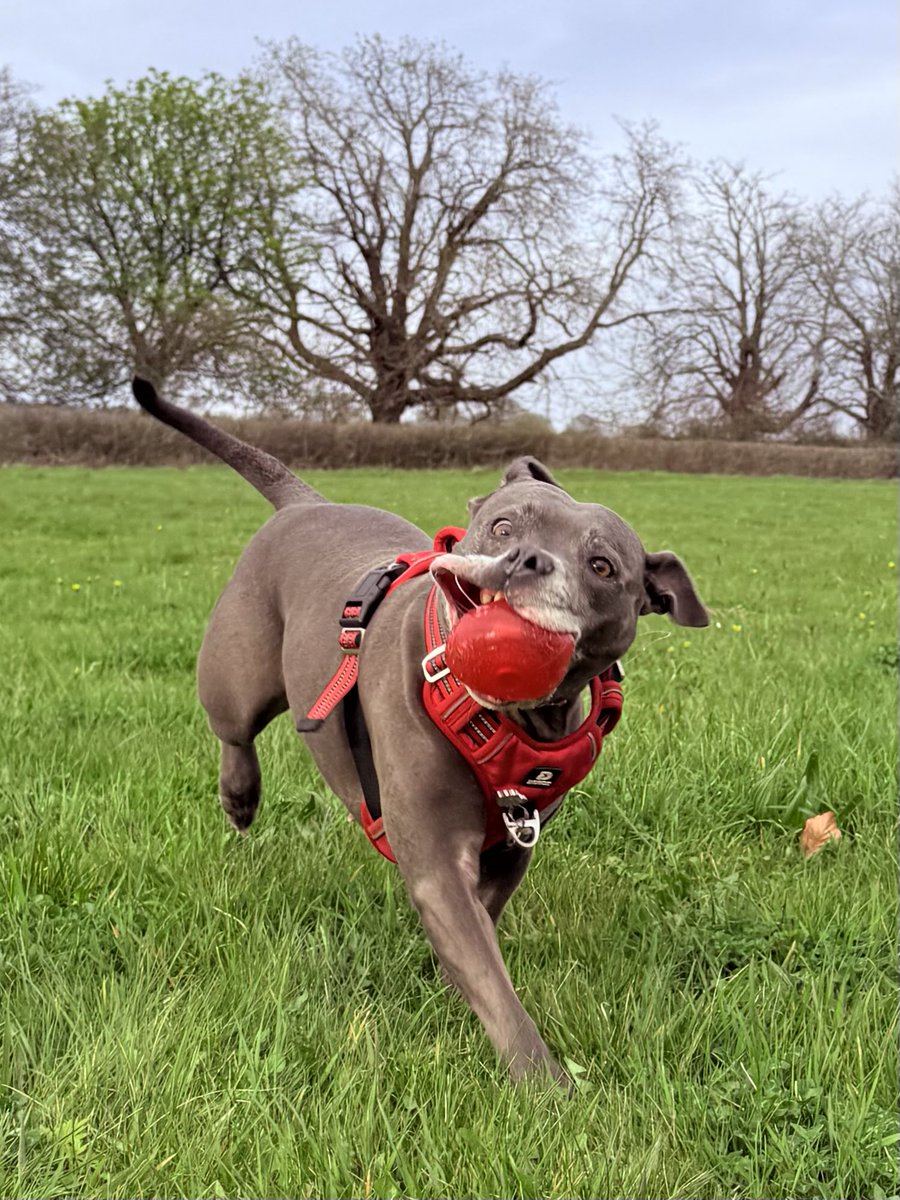 Isa Mary tweet media