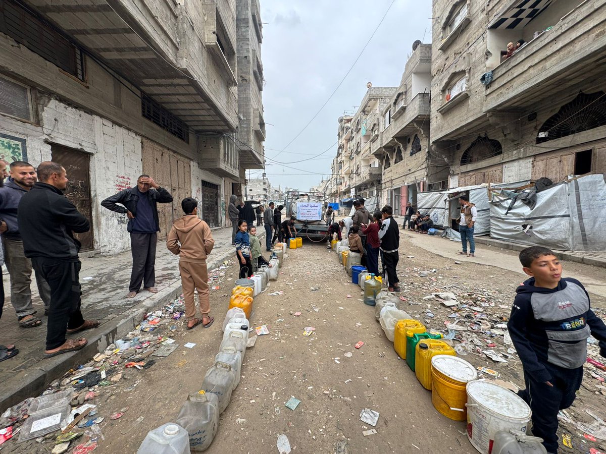 دعاء الشريف Doaa El shareef | 🇵🇸 tweet media