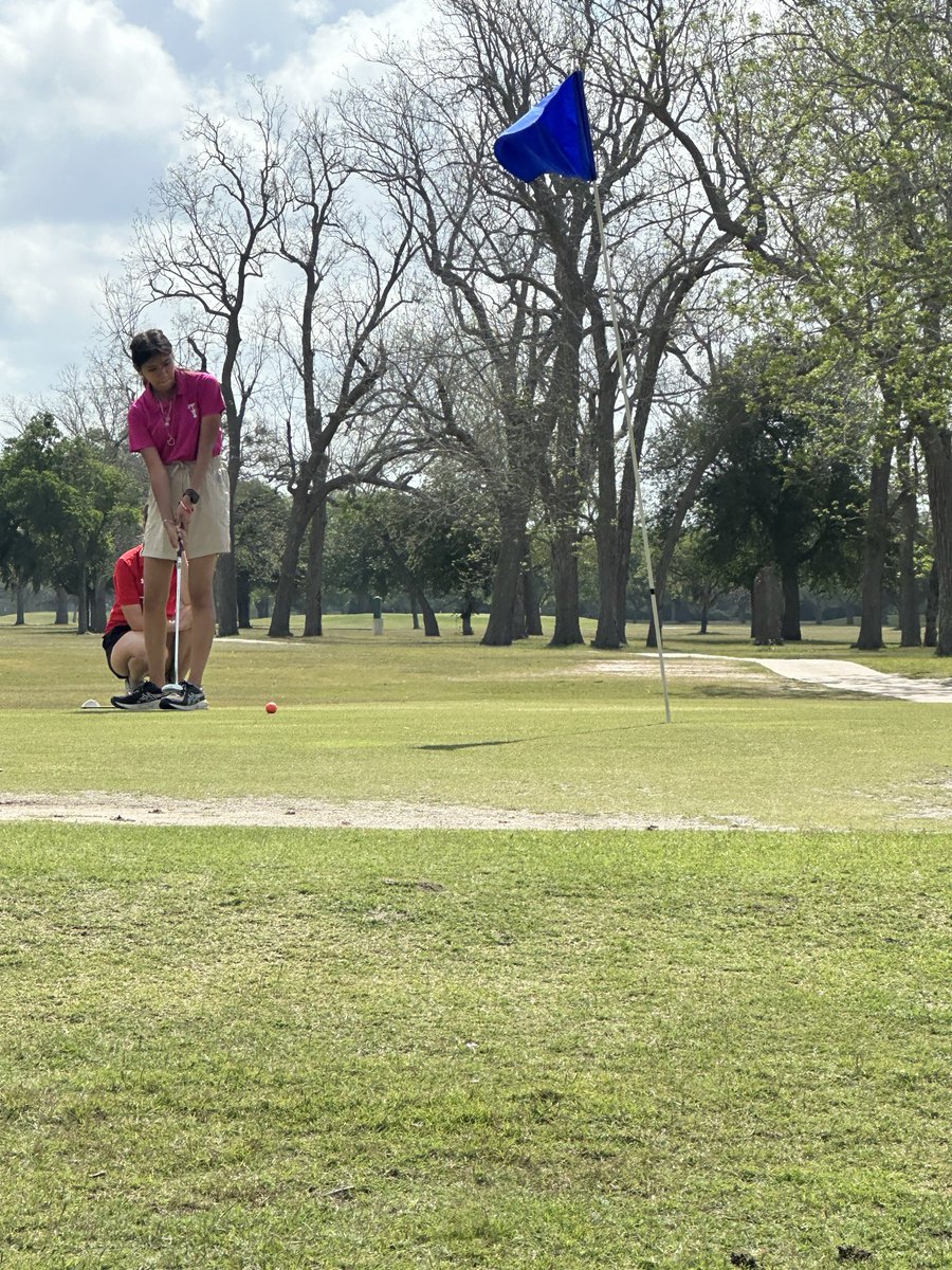 ⛳️BF Terry Golf tweet media