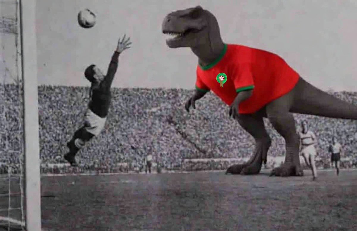 Mr Keeper tweet media