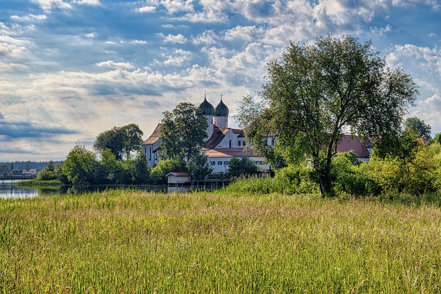 Timothy Edwards tweet media