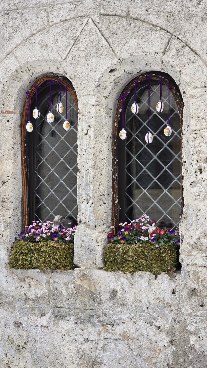 Gabi🧉🇦🇷 tweet media