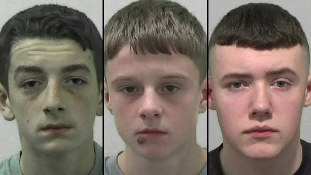 self-aware midwit 🇪🇸 tweet media