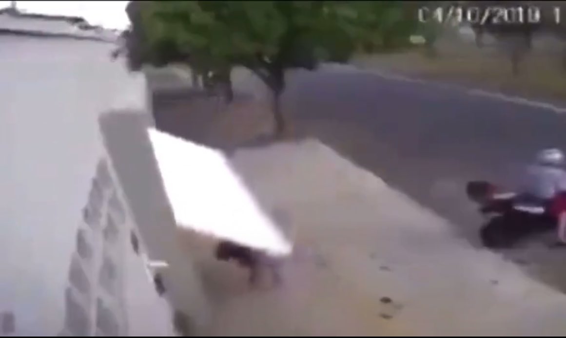 milagros tweet media