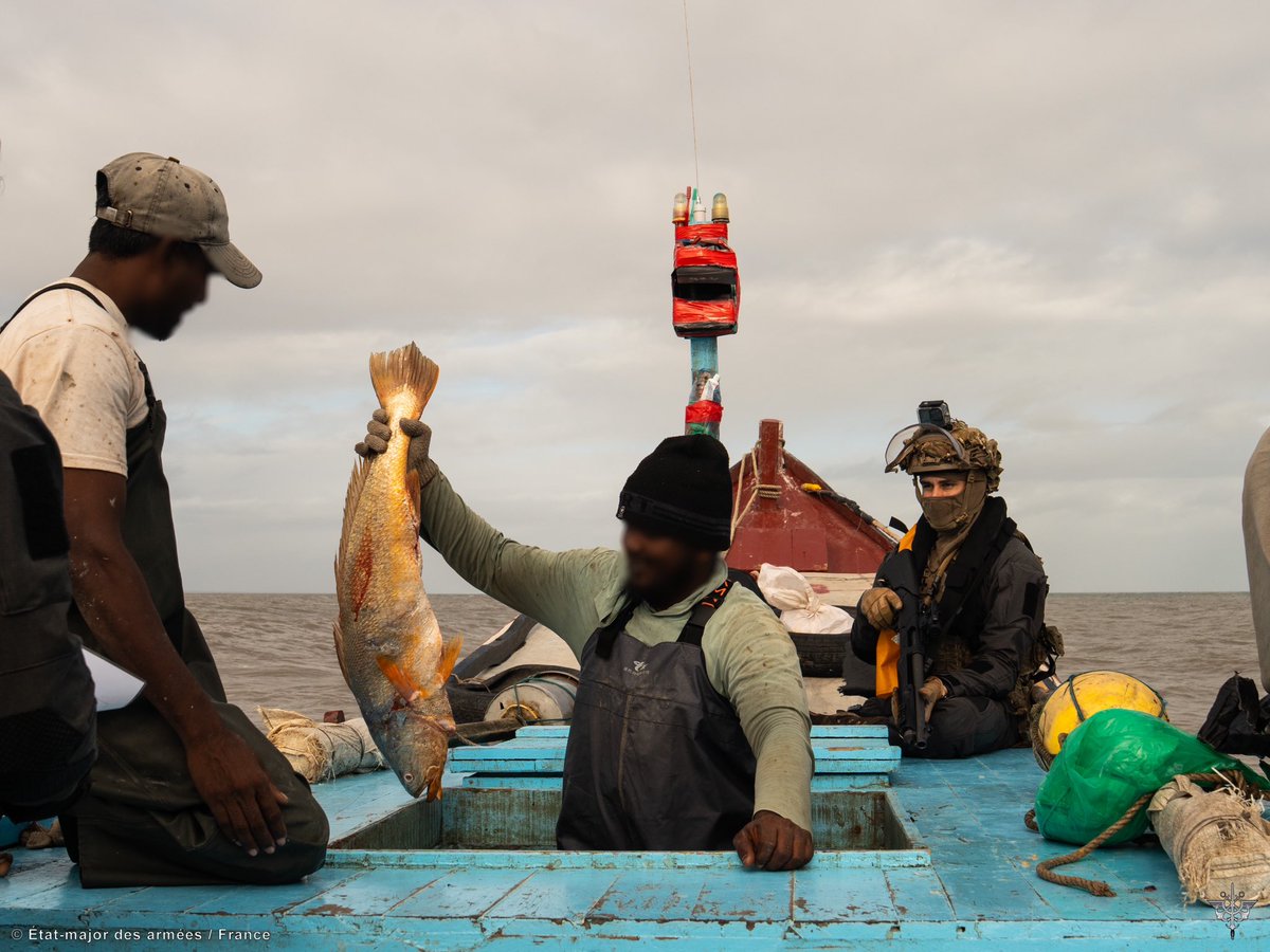 Armée française - Opérations militaires tweet media