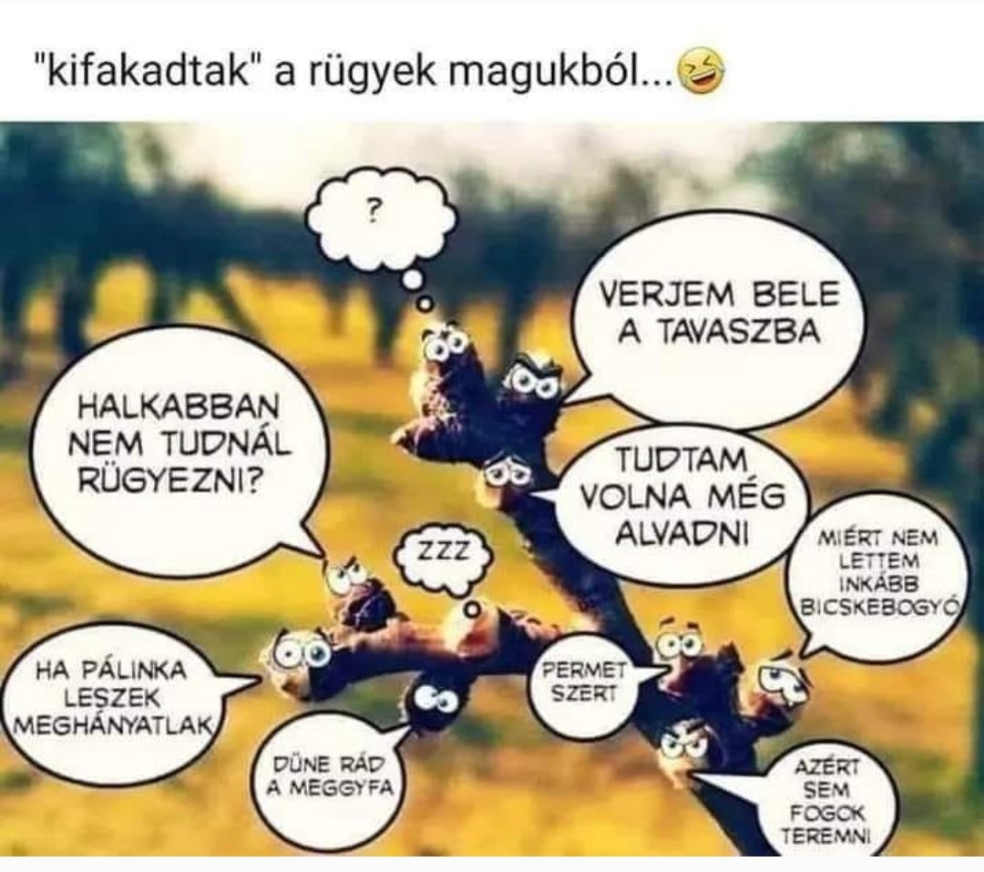 banantunder's tweet photo. 😂 https://t.co/r3a9v8muxI