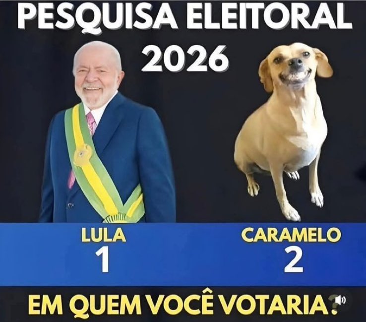 Democracia Viva🗯️ tweet media