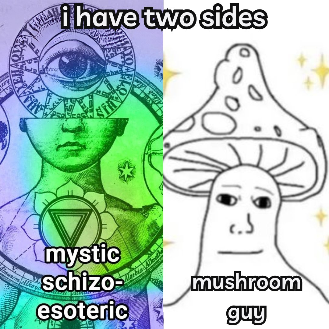 The Fourth Way tweet media