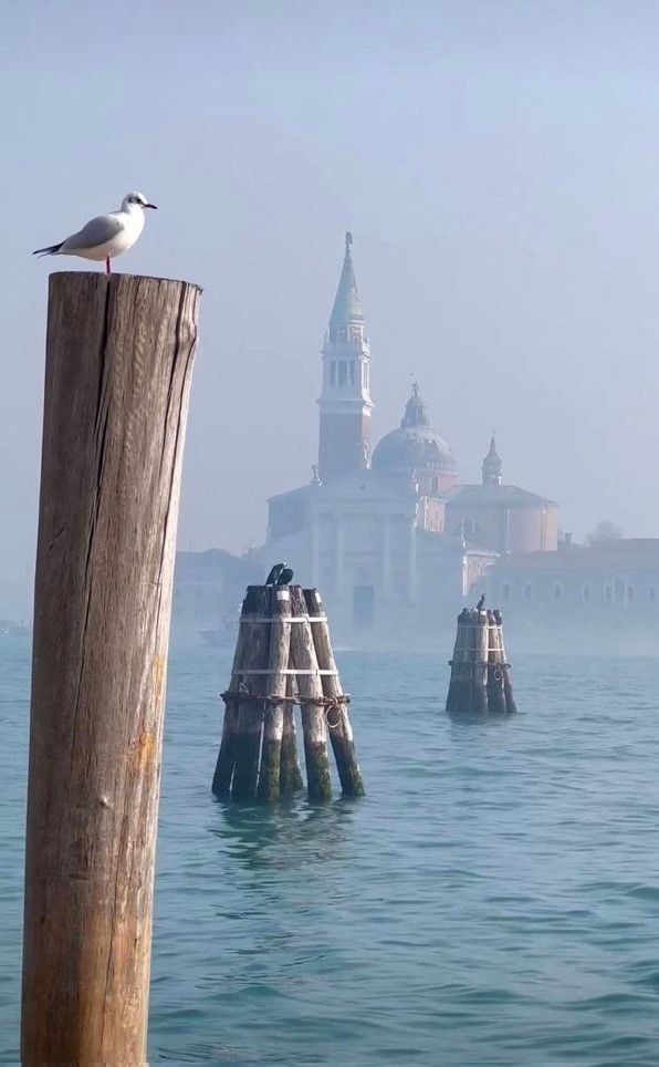 M A R I O tweet media