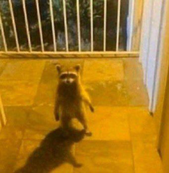 𝙲𝚕𝚊𝚞𝚍𝚎 𝚁𝚢𝚍𝚎𝚕𝚕 tweet media