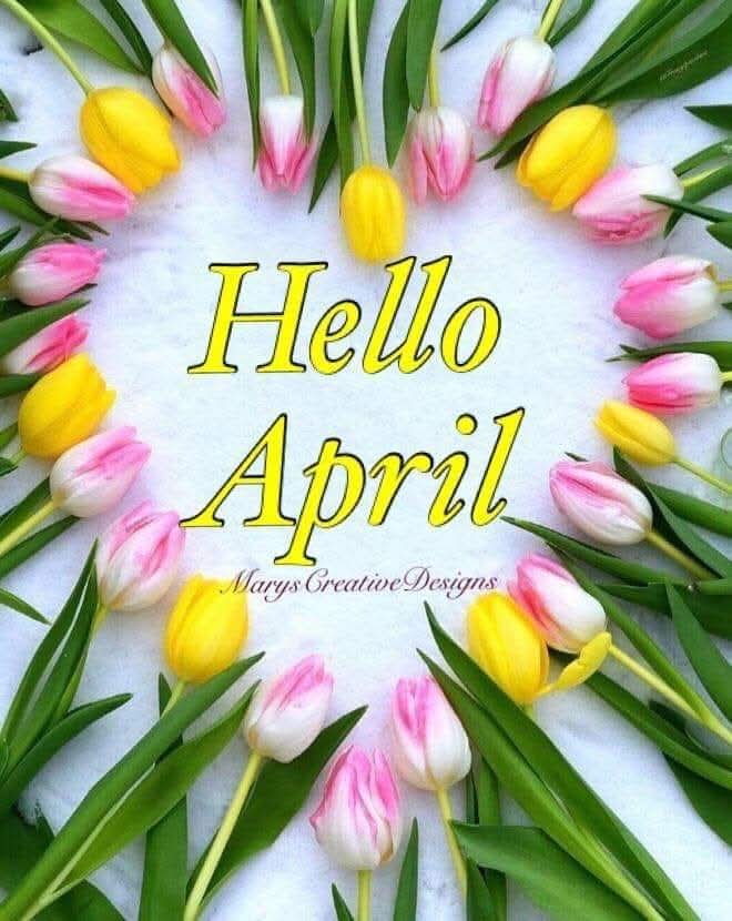 Charlotte Sheppard (@charlotteshep68) on Twitter photo 