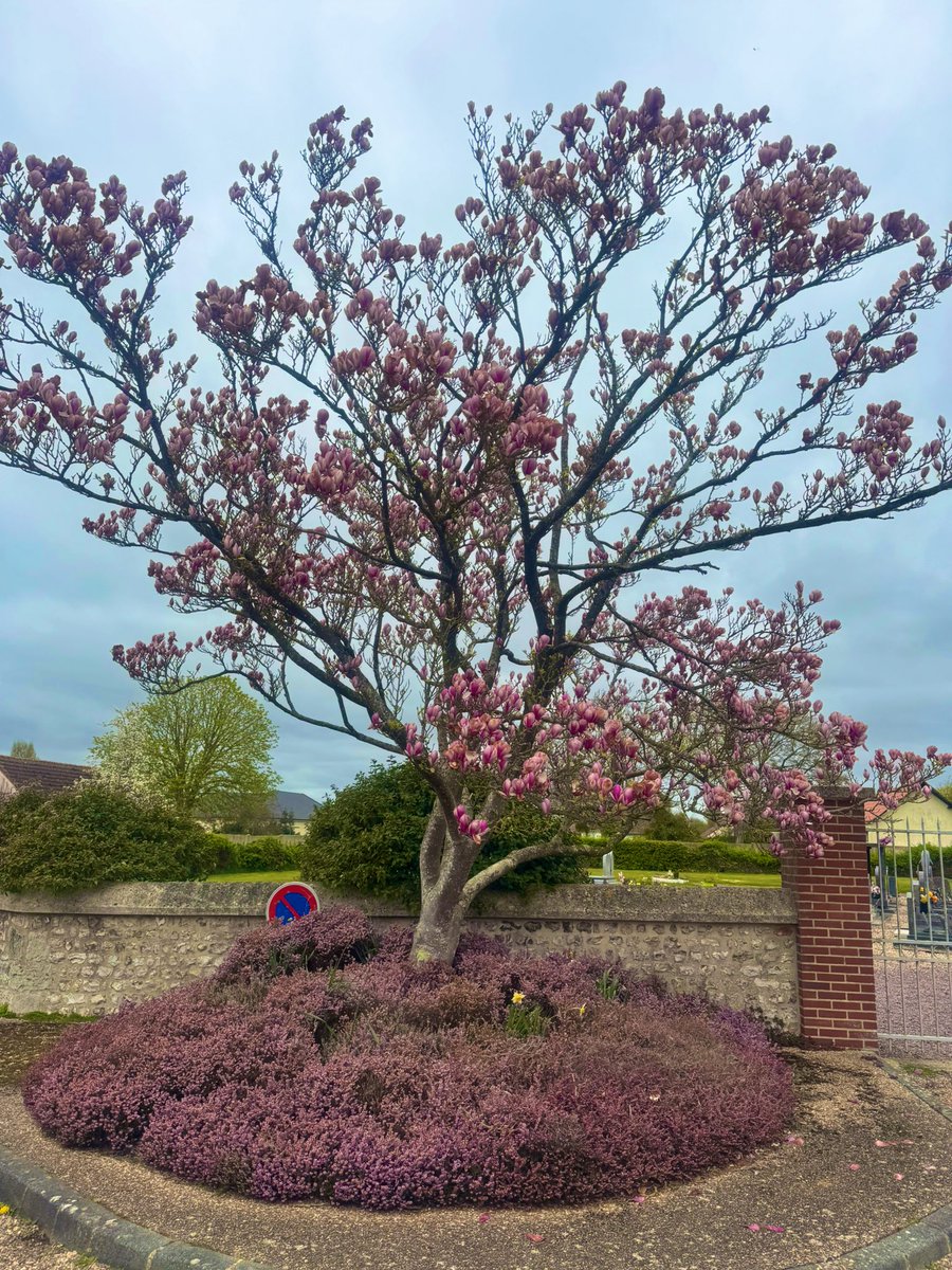 jorge pirès tweet media