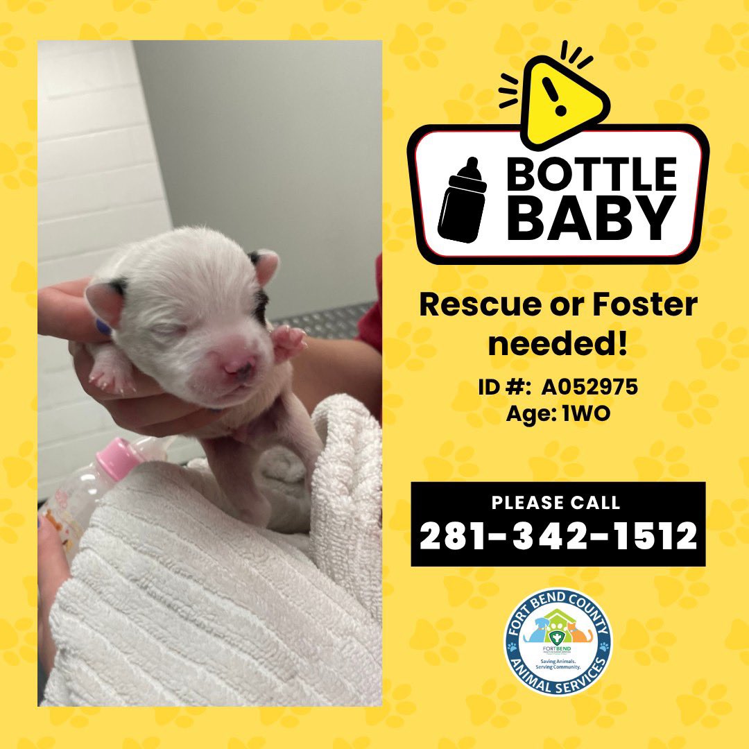 Fort Bend Animal Services tweet media