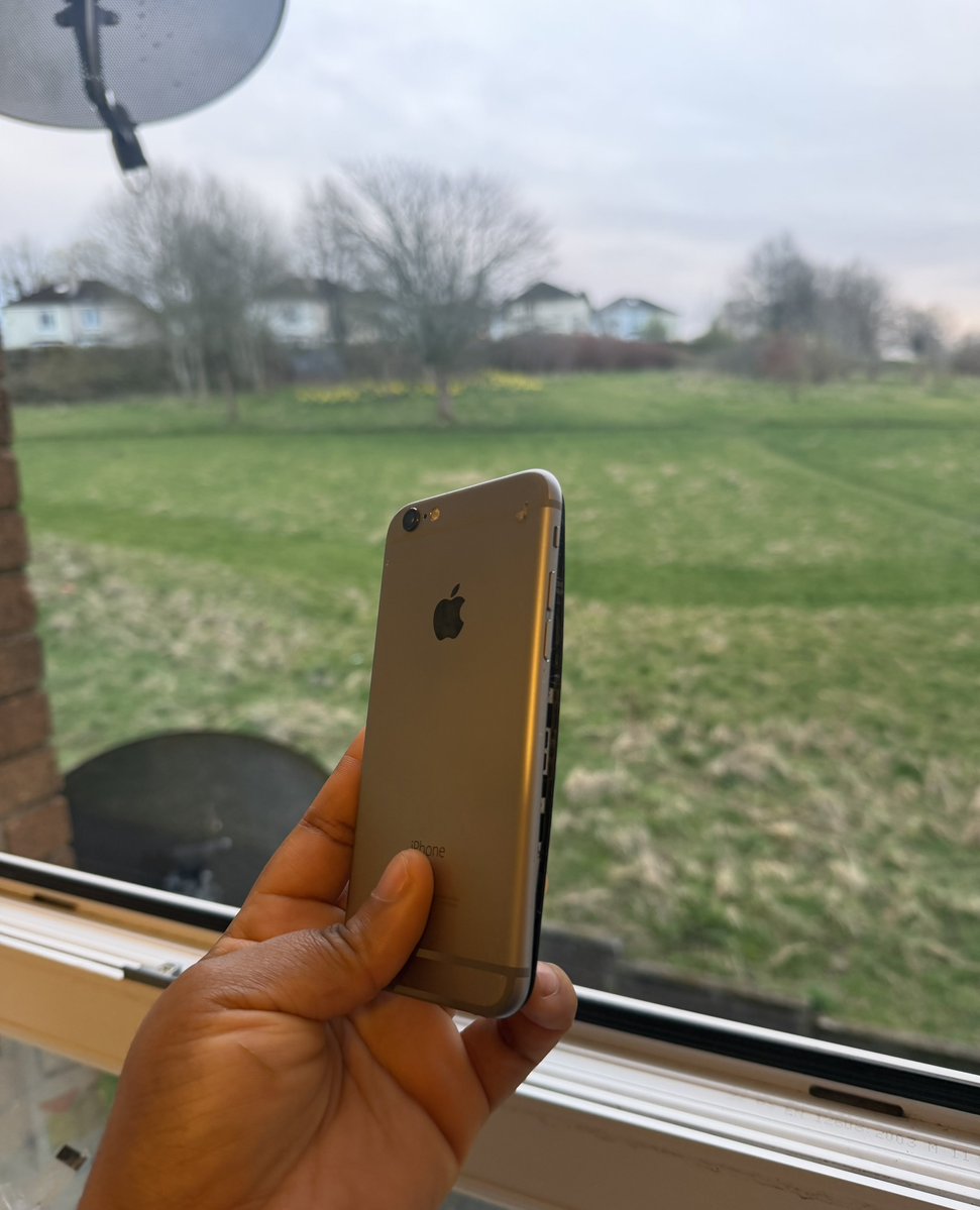 Iamveektoria.base.eth 🙂↔️🌳 ✠ tweet media