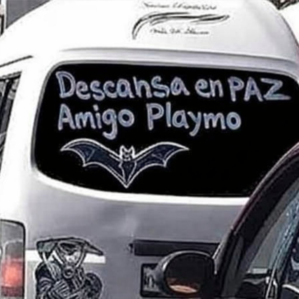 Dra Nutria Guapa y Soez 🦦laFree pa'los cuates tweet media