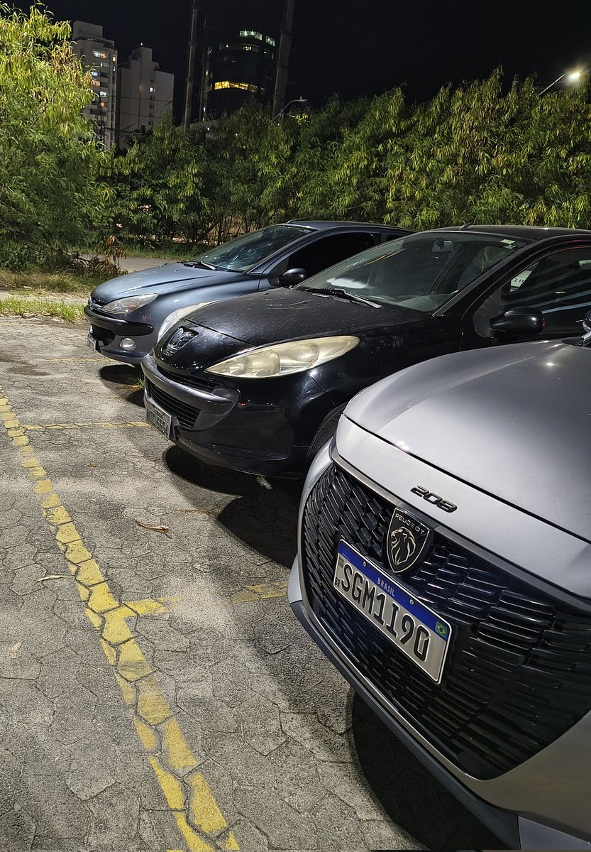 Peugeot 206 da Silva e Souza tweet media