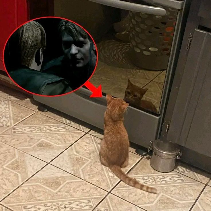 GalerONA tweet media