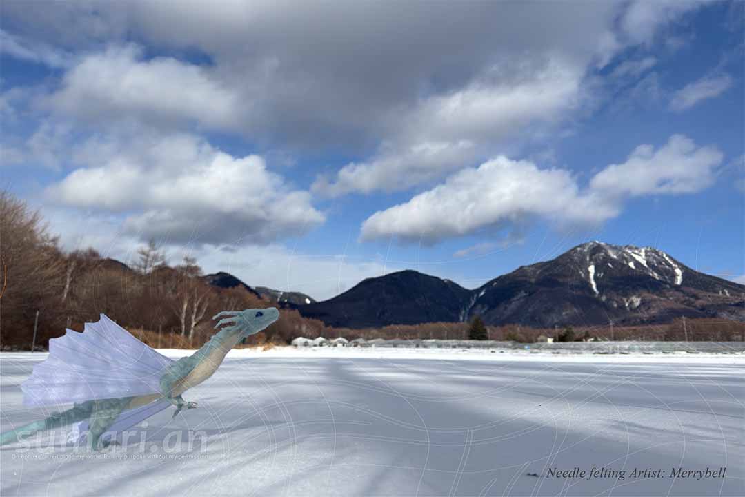 すまり庵@ぬいぐるみ写心家 tweet media