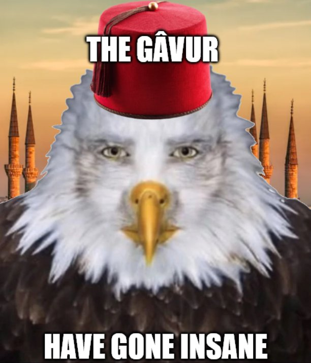 Alborean wanderer tweet media