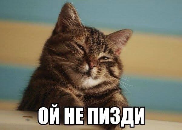 Володимир І 🇺🇦 🇪🇺🇬🇧🇨🇦🇺🇸🇦🇺🇮🇱🇯🇵 tweet media