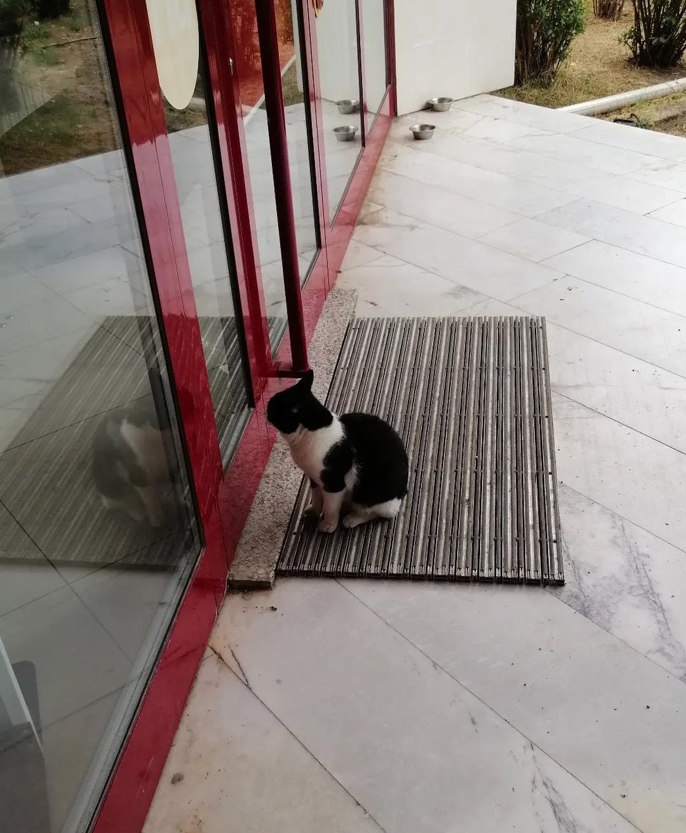 KadirChe tweet media