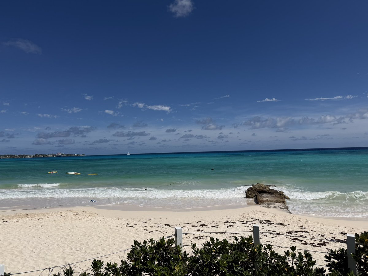 Innocent Bystander tweet media