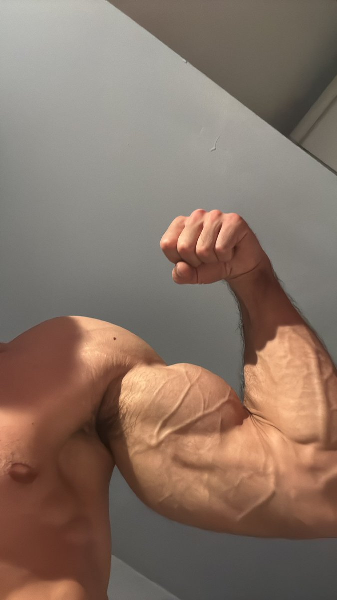 persianprince26's tweet photo. Best biceps in the game https://t.co/XUMButfsKW